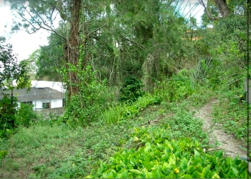 Imagen 6 de 6 de Vendo Terreno Sector El Corralito Carrizal