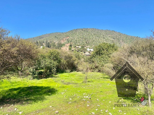 Lo Castro, Quebrada De Alvarado, Olmue. 5.000m2