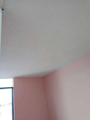 Escarchado De Techo Y Pared
