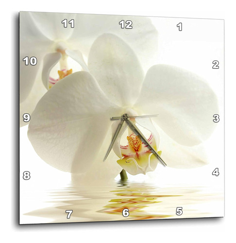 Reloj De Pared Con Reflejo De Agua Y Flor De Orquídea Blanca