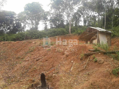 Imagem 16 de 20 de Chácara À Venda No Bairro Brilhante Ii - Itajaí/sc - 2156c
