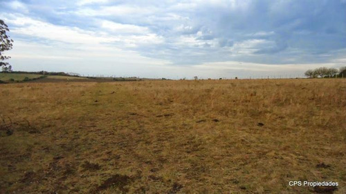 Campo 10 Hás En Paysandú
