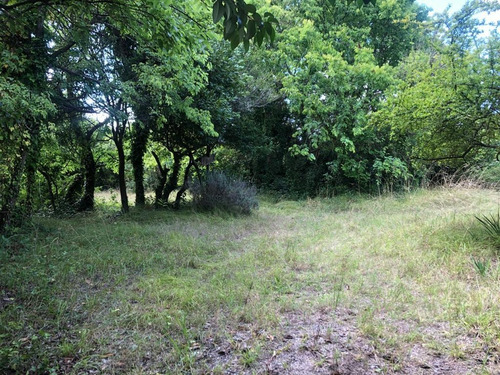 Imagen 8 de 14 de Lote En Esquina - Punta Indio - T-750