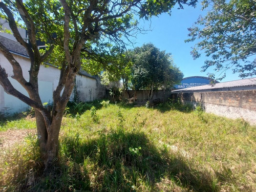 Imagem 9 de 17 de Terreno À Venda, 484 M² Por R$ 530.000,00 - São Cristóvão - São José Dos Pinhais/pr - Te0267