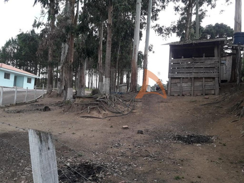 Chácara 4.000m², 02 Casas, Tanque De Peixe, Em Campestrinho - Mandirituba/pr. - Cha007 - 68995278