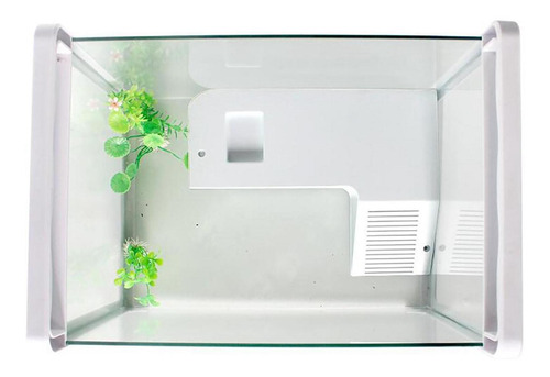 Accesorios Para Tanques De Tortugas Plataforma Para Blanco