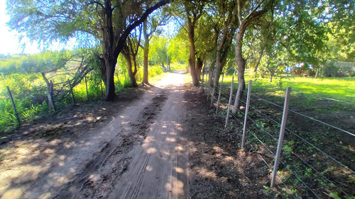 Terreno En Cruz Del Eje Paraje El Pantanillo