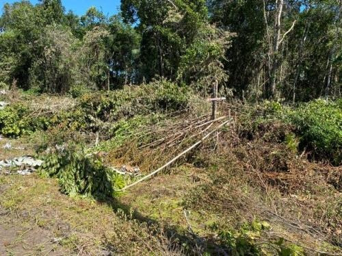 Imagem 6 de 8 de Terreno De Chácara 1200 Metros Em Itanhaém | Entrada 20 Mil