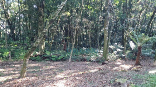Terreno À Venda, 1110 M² Por R$ 450.000,00 - O Bosque - Gramado/rs - Te0716