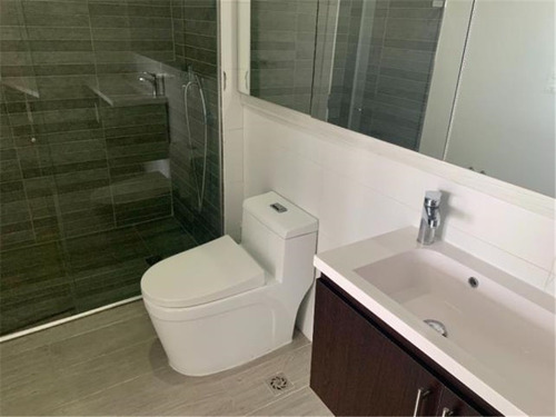 Imagen 7 de 14 de Apartamento Pent House En Venta #6413830