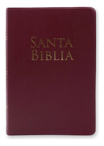 Biblia Rvr1960, Tamaño Manual, Letra Grande, Vinil