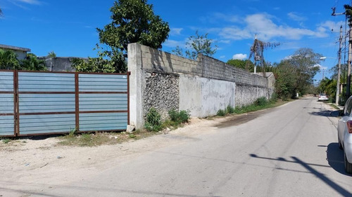 Bodega En Renta En Conkal
