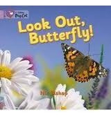 Look Out,butterfly! - Band 0 - Big Cat Kel Ediciones 