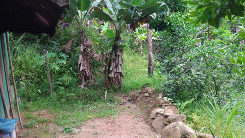 Chácara Em Raposo Tavares Itariri Sp. No Precinho...