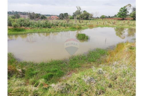Imagen 4 de 7 de Vendo Campo De 4 Has