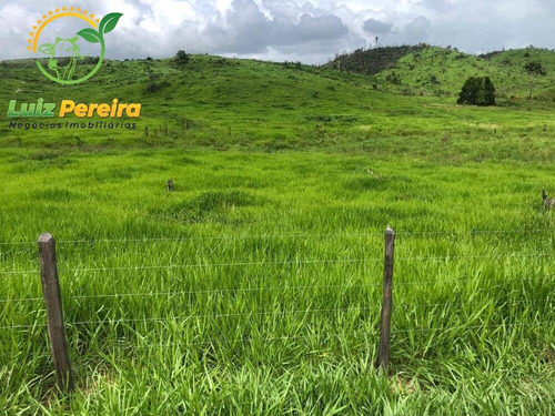 Imagem 12 de 15 de Fazenda À Venda Em Pacajá - Pa 692,12 Hectares - 2094