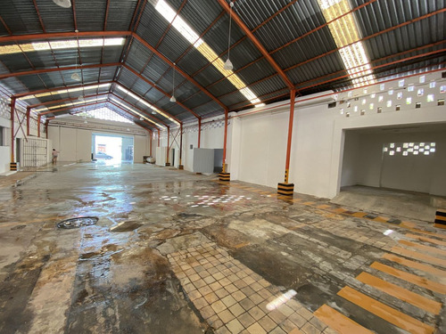 ¡potencia Tu Negocio En El Corazón De Mérida!