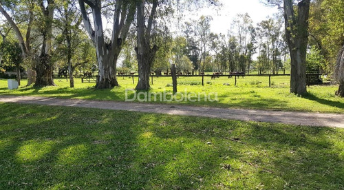 Imagen 24 de 26 de Terreno Fraccion En Venta Ubicado En Ezeiza, G.b.a. Zona Sur