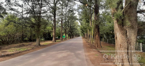 Imagen 23 de 28 de Quinta En Venta En Abasto, Con Casa De Campo Sobre Lote De 26.103 M2
