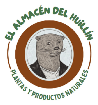 Cactus Nopal / Higo De Tuna - Fruto Rojo