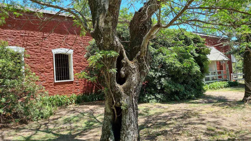 Imagen 24 de 29 de Venta Lote / Chacra En Estancia El Aduar - Zarate