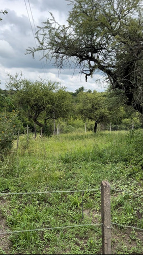 Terreno Regular De 1000m2 Con Bajada Al Rio A 40m En Villa Los Aromos. Con Escritura