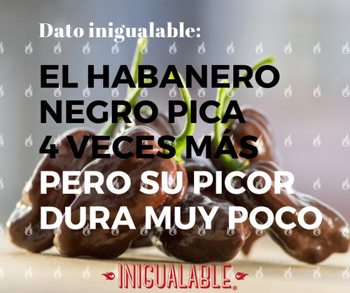 Imagen 3 de 5 de Salsa Habanero Negro - Inigualable - 180ml Mariscos Pack 10