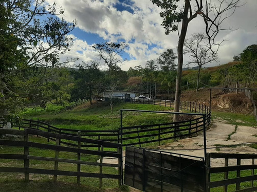 Imagen 7 de 14 de Finca En Venta En Bejuma