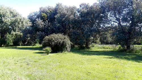 Imagen 8 de 11 de Terreno En Venta En Lobos: Cabecera Del Partido