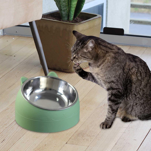 Alimentador De Mascotas Plato De Alimentación Verde