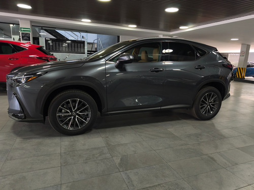 Lexus NX 2.5 Nx 250 Awd