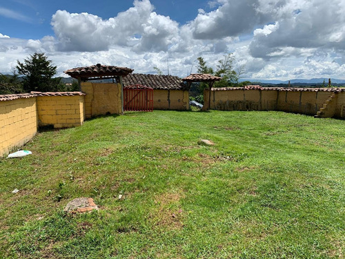 Imagen 14 de 14 de Finca En San Vicente 7 Hectáreas 850 Millones Aguacates