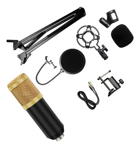 Microfono Condensador Profesional De Alta Calidad Podcast