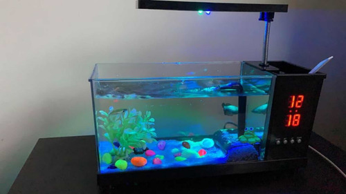 Mini Acuario Pecera Usb Alarma Reloj Digital