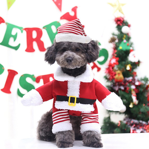 Roupa De Natal De Gato Roupas De Natal Com Chapéu Roupas Xl