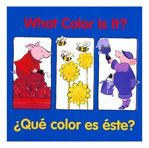 Libro: What Color Is It? / ¿qué Color Es Éste? (good Begi