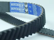 Comprar Correa Distribucion 141 Dientes Peugeot 206\u002F307\u002F406\u002F607 Dw10