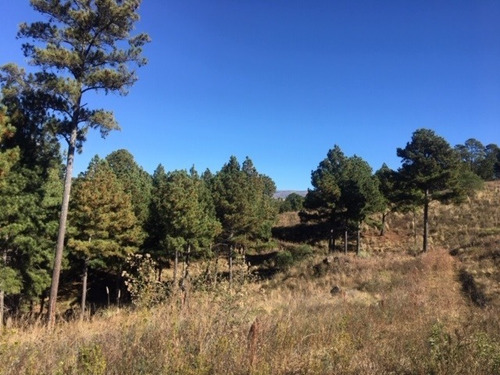 Imagen 5 de 10 de Venta De Fracción De 9 Hectáreas En Potrero De Garay, Casas Y Club De Montaña Inv0018