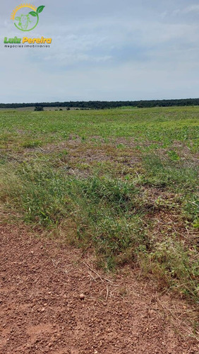 Imagem 4 de 15 de Fazenda À Venda Em Vale Do Araguaia - T0 -de 247 Alqueirões (dupla Aptidão) - 1763