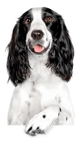 Imagen 2 de 4 de Alimento Para Perro Super Premium 1st Choice Puppy 7kg 2-14m
