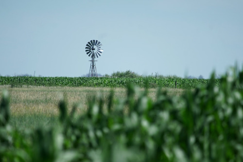 Imagen 10 de 14 de Excelente Campo De Explotación Mixta 681ha En General Pinto