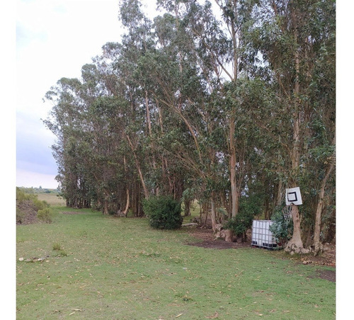 Vendo Muy Lindo Campo De 11 Has, Casa, Monte, Tajamar, Zona Tranquila Consulte