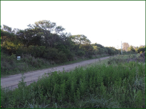Imagen 4 de 9 de Excelente Inversión, Villa Del Dique, 80.652 Metros