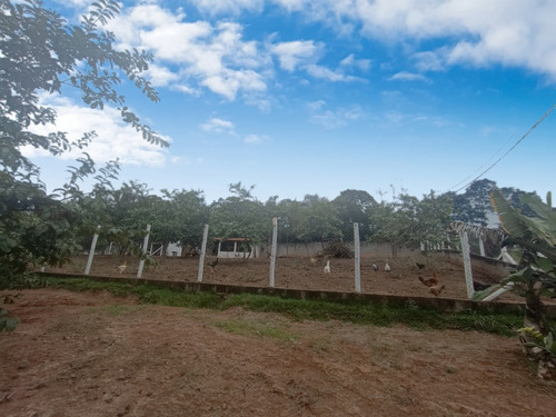 Sítio Completo À Venda Em Santa Isabel/sp 7.500m2 R$950.000