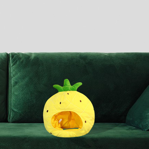 Sombreros De Piña Decoraciones Cálidas De Felpa Dibujos