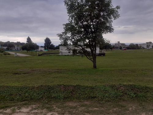 Terreno En Venta En Country Loma Linda