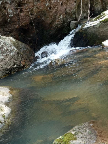 Imagem 2 de 14 de Excelente Terra Na Chapada Dos Veadeiros! Em Cavalcante Go