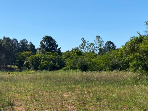 Chácara 2.700 M² - Morungava - Gravataí - Rs - 2485 - 68858282
