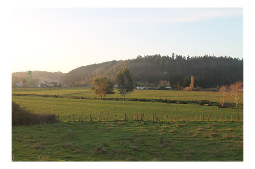 Imagen 2 de 9 de Parcelas En Venta En Buchupureo - Cobquecura