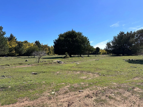 Oportunidad Parcela 5.000 Mts (93879)